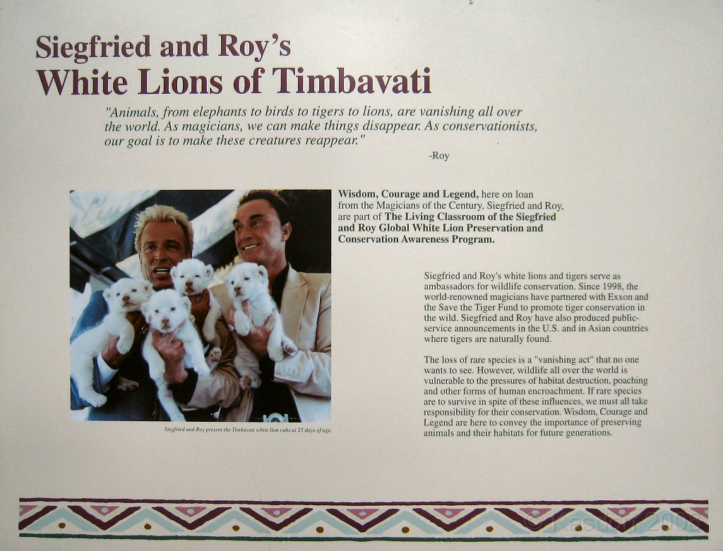 Dart Frog Dash 08 0691.jpg - The Toledo Ohio Zoo held the 2008 Dart Frog Dash 5K race on May 17, 2008. The weather was great, the race went fine, and the animals were fun to see! The highlight was the nursing Polar Bear Cubs - two 330 pound "babies" tugging on mama.